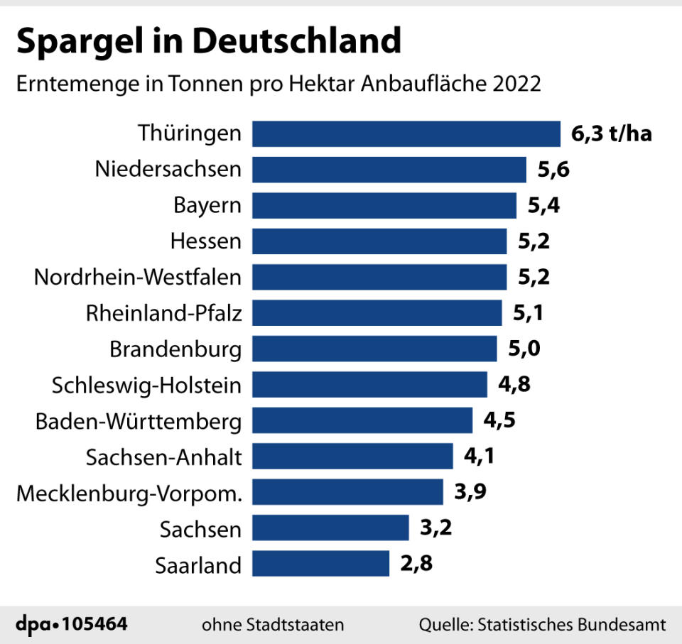 Die Deutschen lieben Spargel und bauen ihn vor allem in Thüringen an (Bild: dpa)