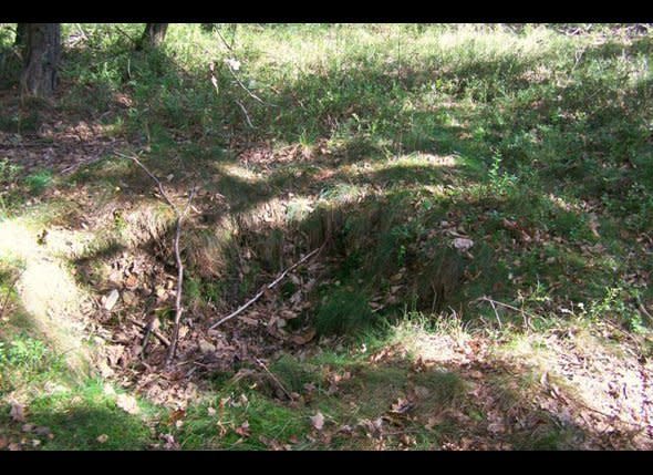 On the Kall Trail starting in Vosssenack Germany, one can find the remnants of a battle that took place nearly 70 years ago, like this foxhole that time has partially filled in.    Photo: David Kiley/HuffPost Travel