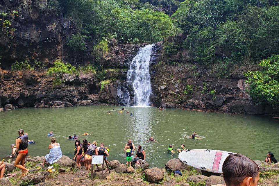People swimming at a waterfall from the Tour of North Shore and Sightseeing