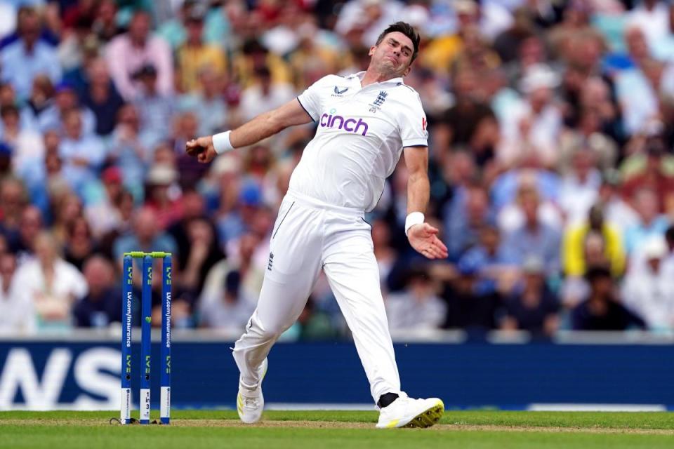 Anderson took his 700th test wicket <i>(Image: PA)</i>