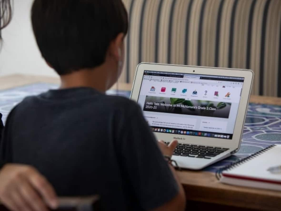 Windsor-Essex parents have mixed feelings about Ontario's return to online learning, which goes into effect on Wednesday. (Evan Mitsui/CBC - image credit)