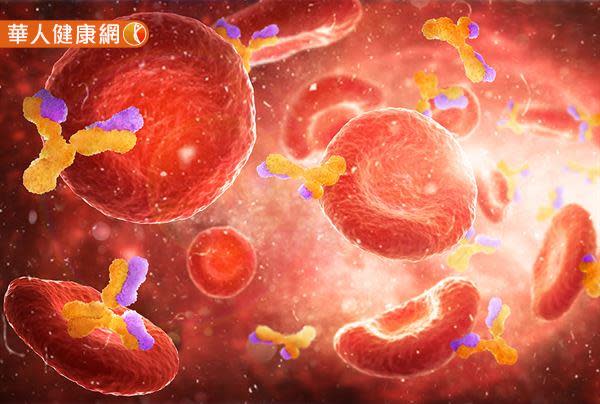 免疫系統如何運作？5種不同抗體有何區別？圖解過敏反應、免疫機制一次看懂