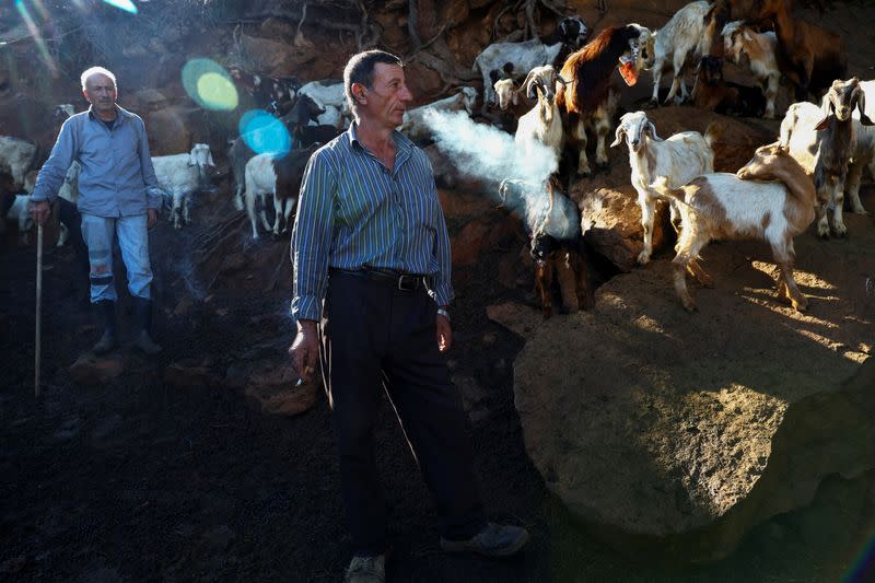 Lebanese shepherd, Tony al-Amil, smokes a cigarette as he stands near his livestock in Fanar