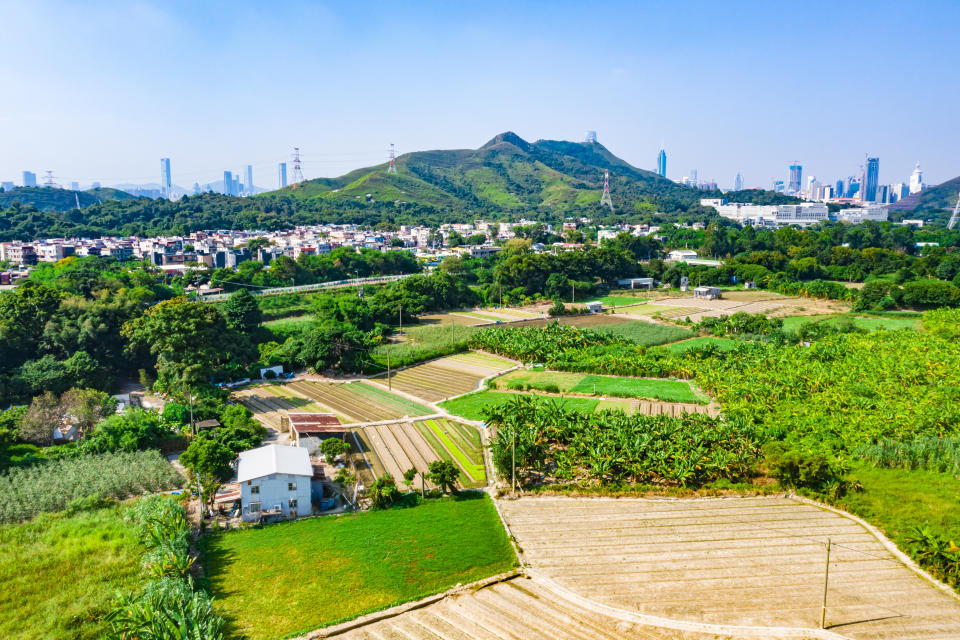 地租是土地承租人根據土地契約條款及相關適用法例，向政府繳付的租金，不管物業是被佔用或空置，均須繳納。於部分由新界原居民擁有的丁屋或祖堂地，則因歷史問題，可獲豁免地租。