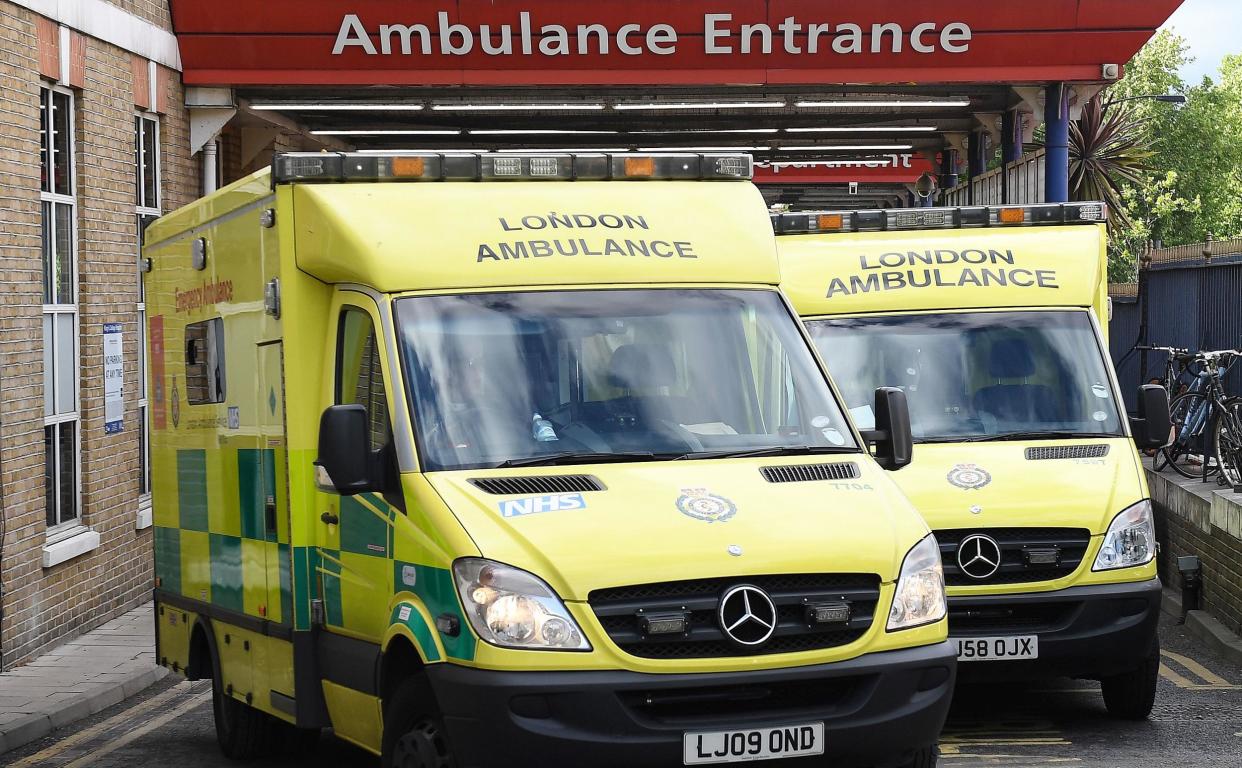 Trust bosses warn hospitals will miss on cash linked to A&E performance after taking extra ambulances from swamped neighbours: Rex Features