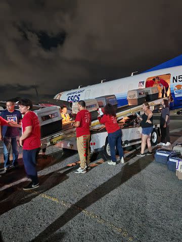 <p>The Sato Project</p> Over 130 rescue animals saved by The Sato Project deplaning from their freedom flight in White Plains, New York