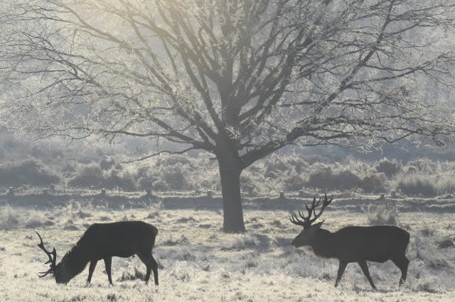 Will warm weather last until Christmas?