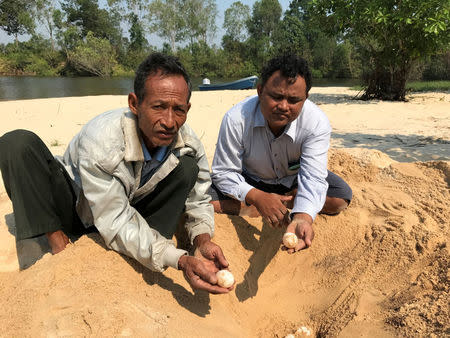 Members of the non-profit Wildlife Conservation Society (WCS) hold a Royal turtle eggs as they found at Sre Ambel in Koh Kong province, Cambodia February 3, 2018. REUTERS/In hul/WCS Cambodia Handout via Reuters