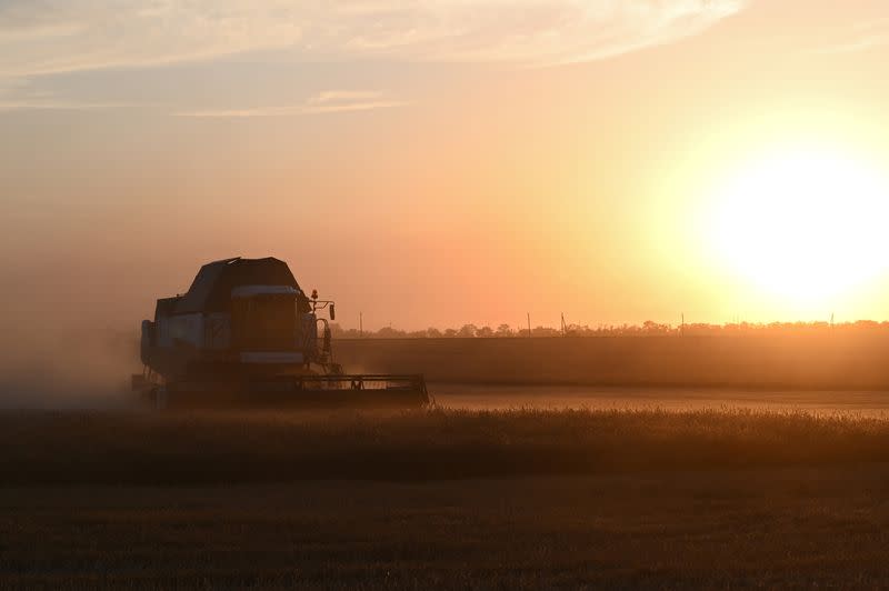 Wheat harvest in Russia's Rostov Region