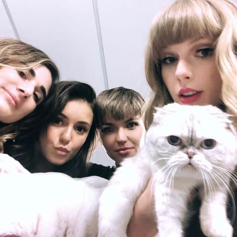 <p>Taylor Swift/Instagram</p>