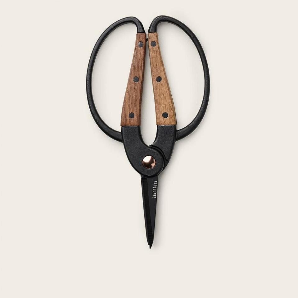 Small Herb Scissors