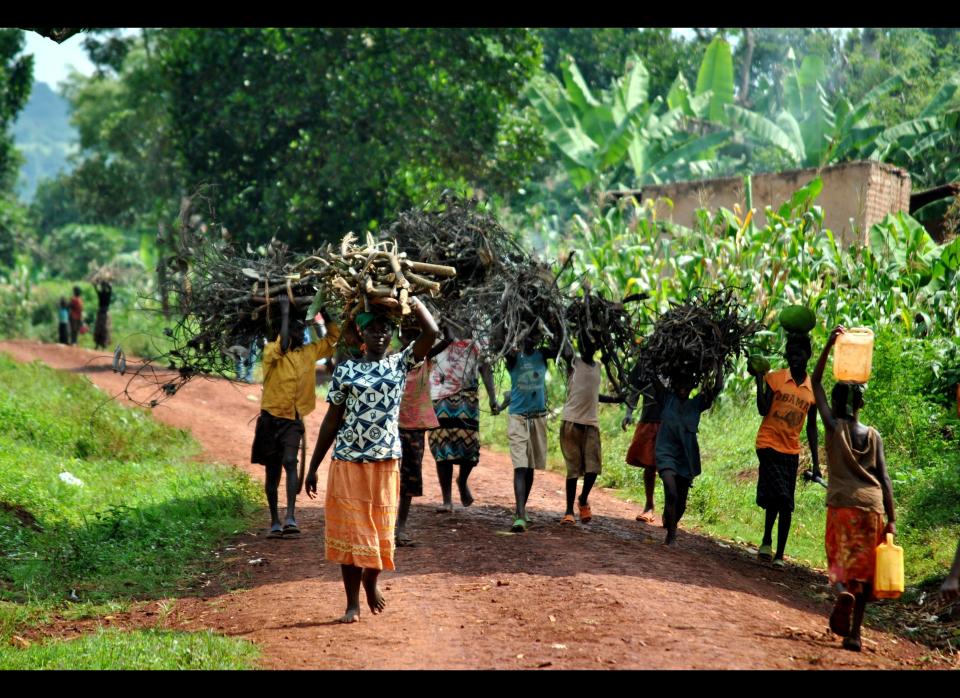Women in Uganda represent 80% of the agricultural labor force, are responsible for about 80% of the food crop production and continue to contribute about 60% of the labor for cash crop production.