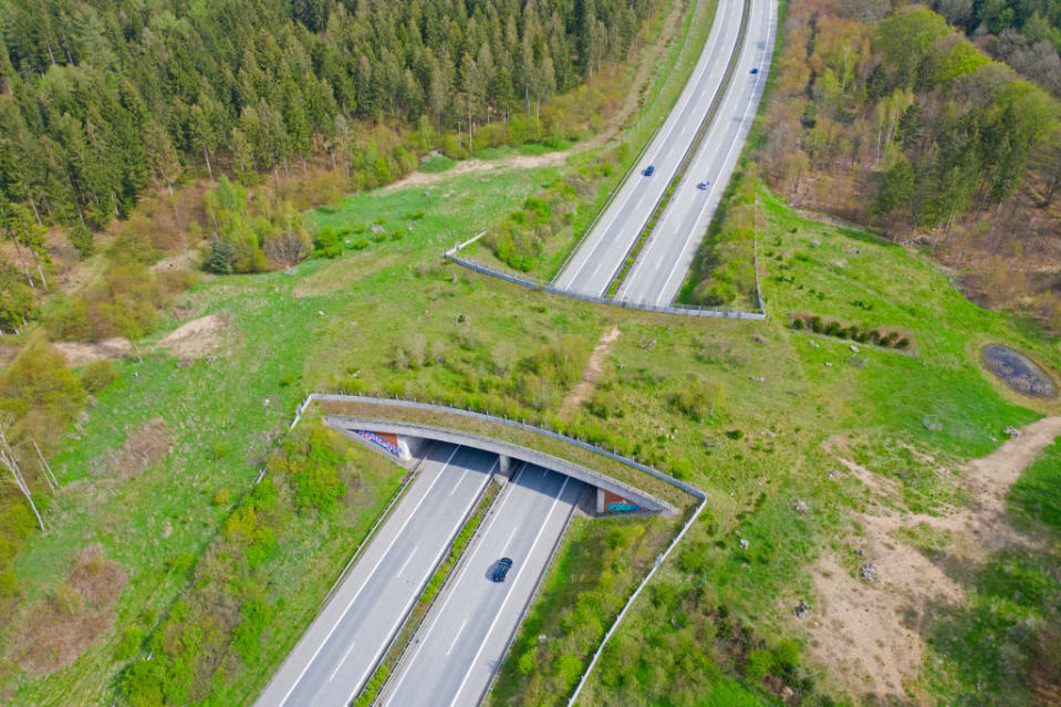 A wildlife bridge tops a highway in Schleswig-Holstein, Germany.<span class="copyright">Sven-Erik Arndt—Arterra/Universal Images Group/Getty Images</span>
