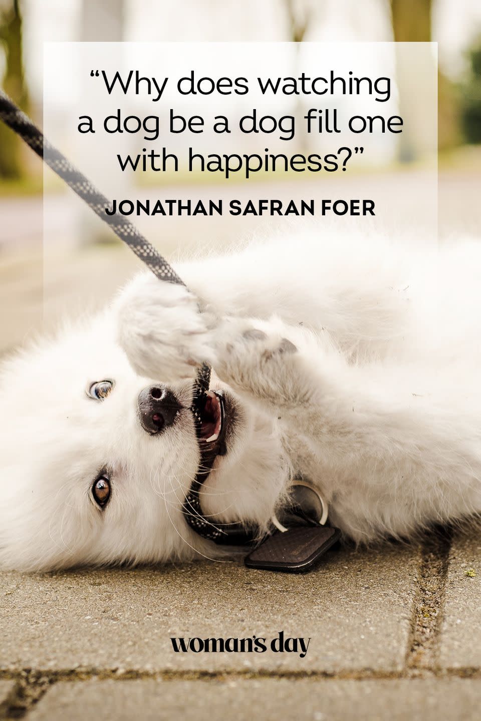 Jonathan Safran Foer