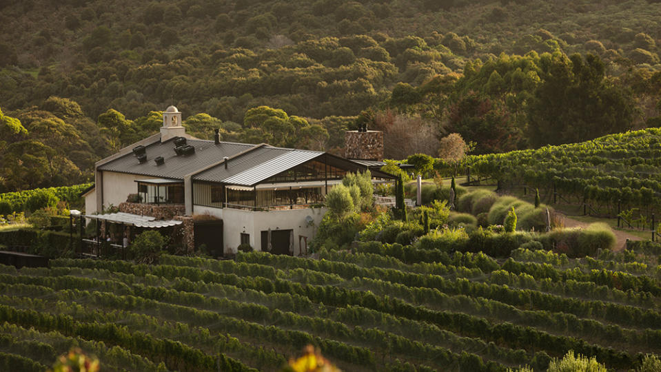 No trip to New Zealand is complete without a journey into wine country. Tantalus Estate on the country's North Island is a highlight. 