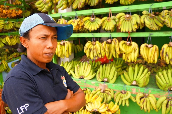 Coining it: The sellers enjoy good profits due to higher demand for bananas during the weeks before Galungan. (