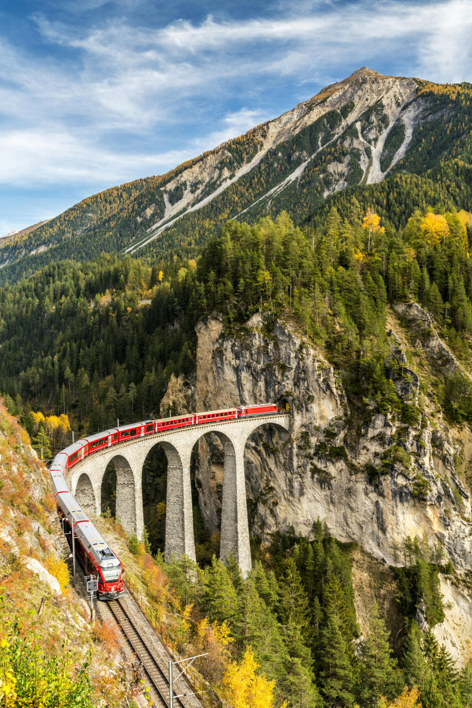 A train going through a scenic fall landscape.