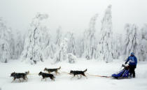 A musher rides his dog sled during a stage of the Sedivackuv Long dog sled race in Destne v Orlickych horach, Czech Republic, January 25, 2019. REUTERS/David W Cerny