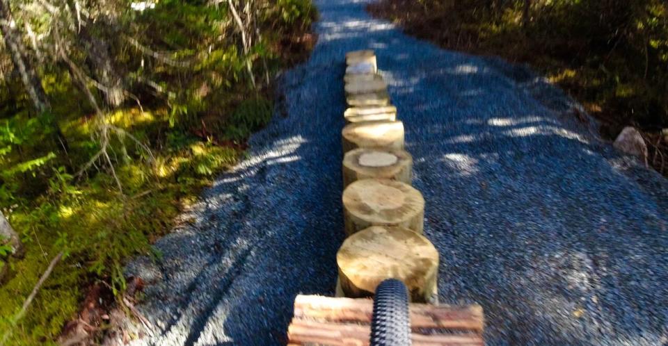 The new mountain bike trail was constructed by park staff and features many natural materials.