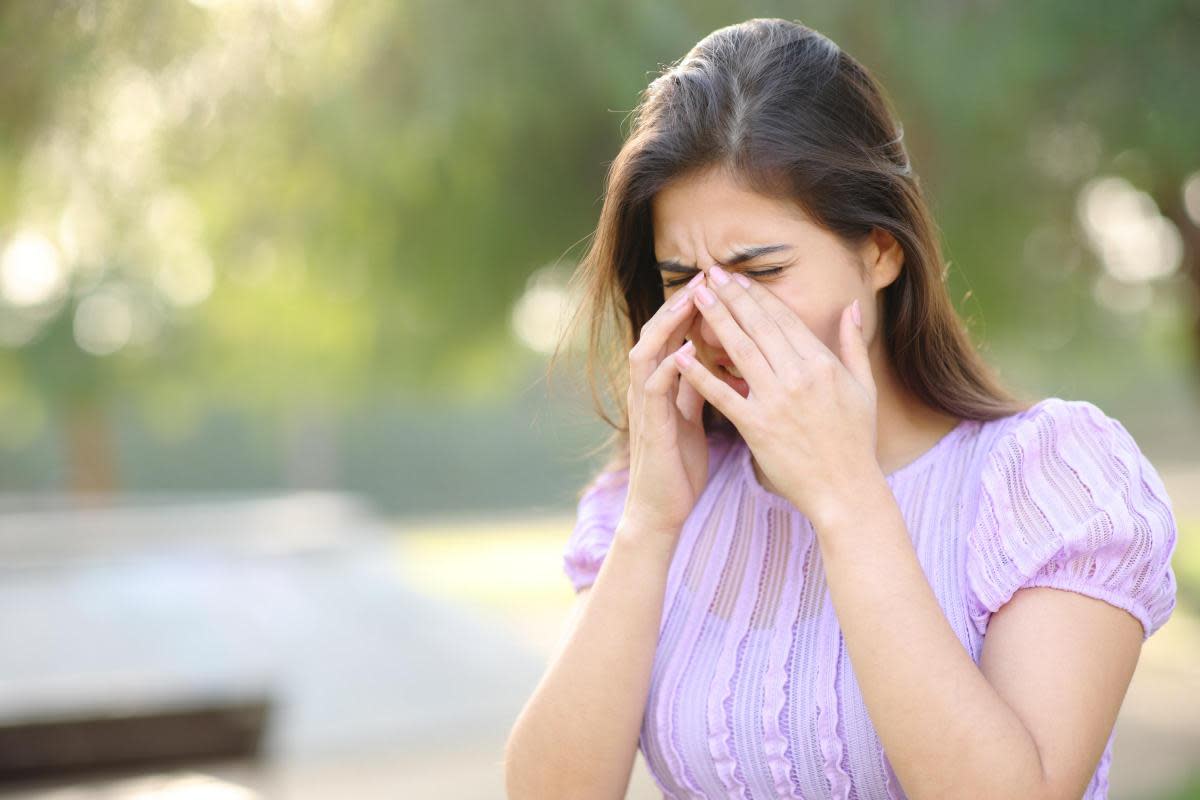 Grass pollen levels peak in May and June and weed pollen counts remain high over the summer <i>(Image: Getty/Pheelings Media)</i>