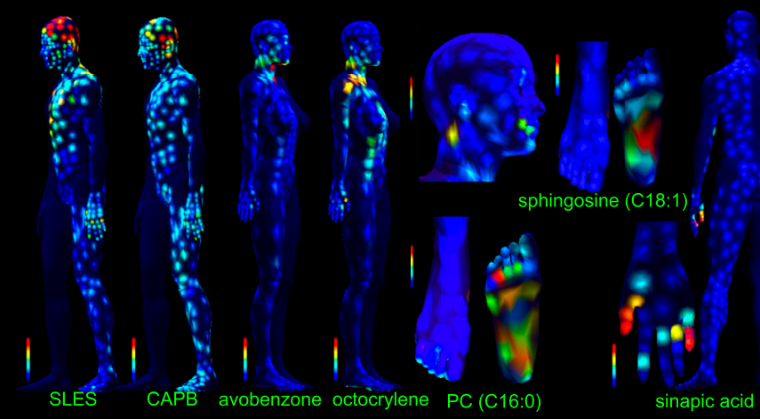 chemicals on body map