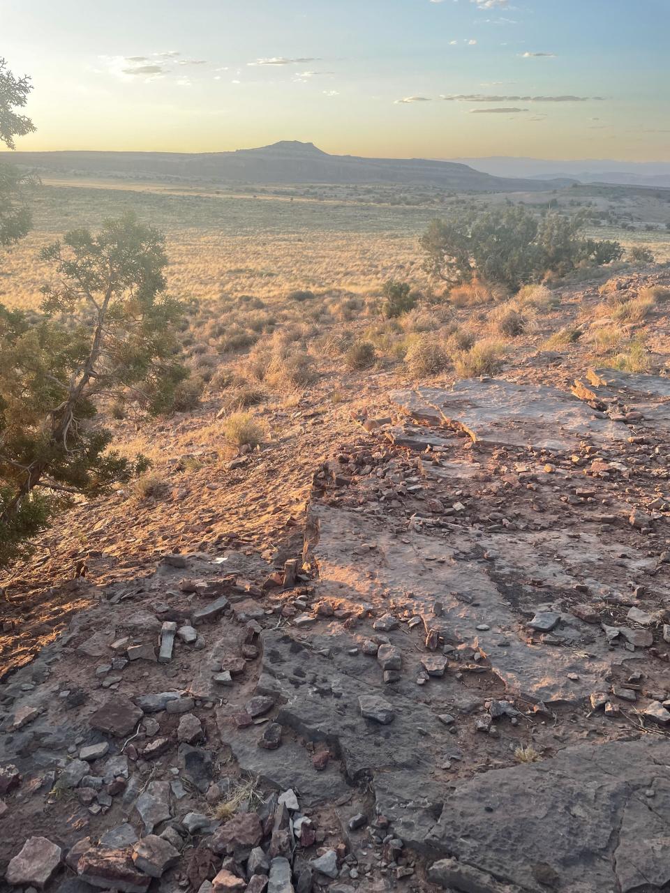 Rocky desert landscape with distant hills and sparse vegetation under a setting sun