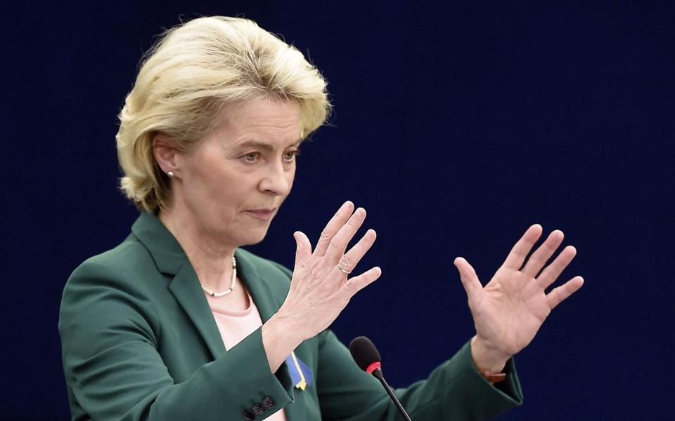 Ursula von der Leyen, the European Commission president - Frederick Florin/AFP via Getty Images