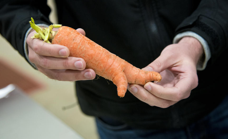 FILE - This Nov. 13, 2018 file photo shows a carrot at Imperfect Produce in Severn, Md. The company delivers fruit and vegetables that have been rejected by grocery stores for not fitting cosmetic standards. (Joshua McKerrow/The Baltimore Sun via AP)