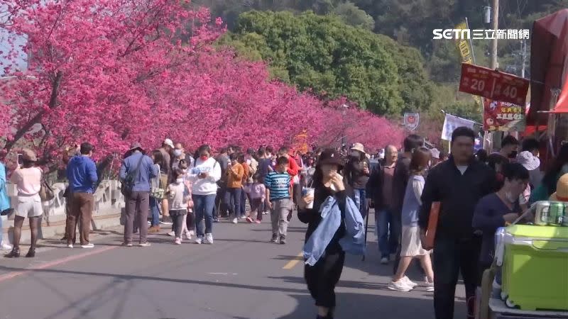 各地花季接踵到來，讓民眾的假期多了新選擇。