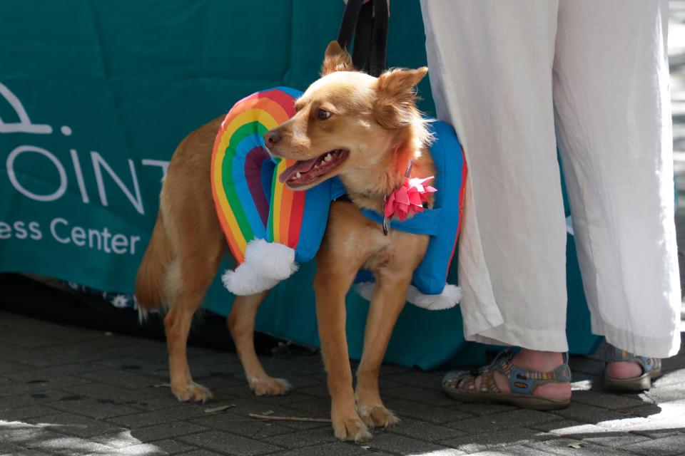 Tallahasseeans celebrate the LGBTQ community during Pride in the Plaza April 27, 2019. The 2024 Pride in the Plaza event takes place April 20.