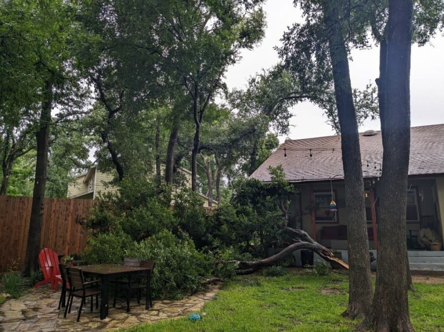 Downed tree limbs after severe storms in Austin (Courtesy Matt Mitchell)