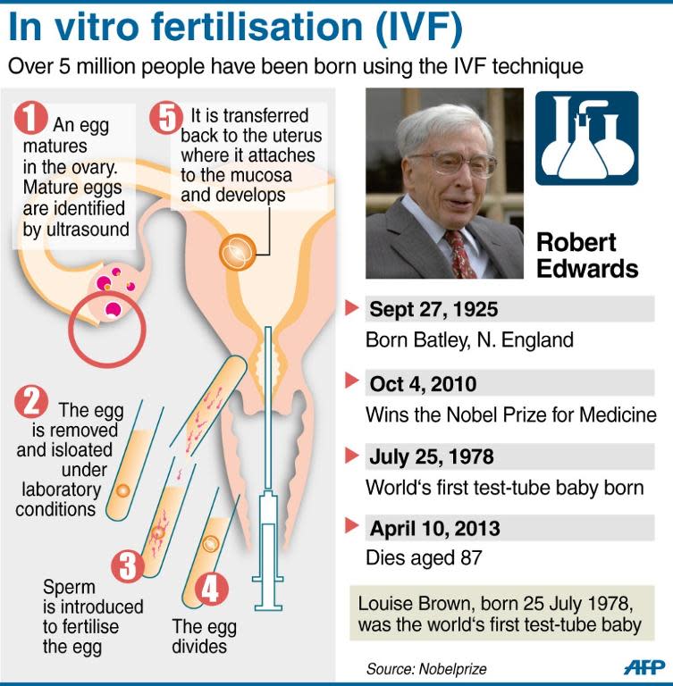 Graphic showing the process by which a test-tube baby is born