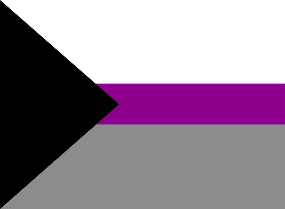 pride flag meanings demisexual flag