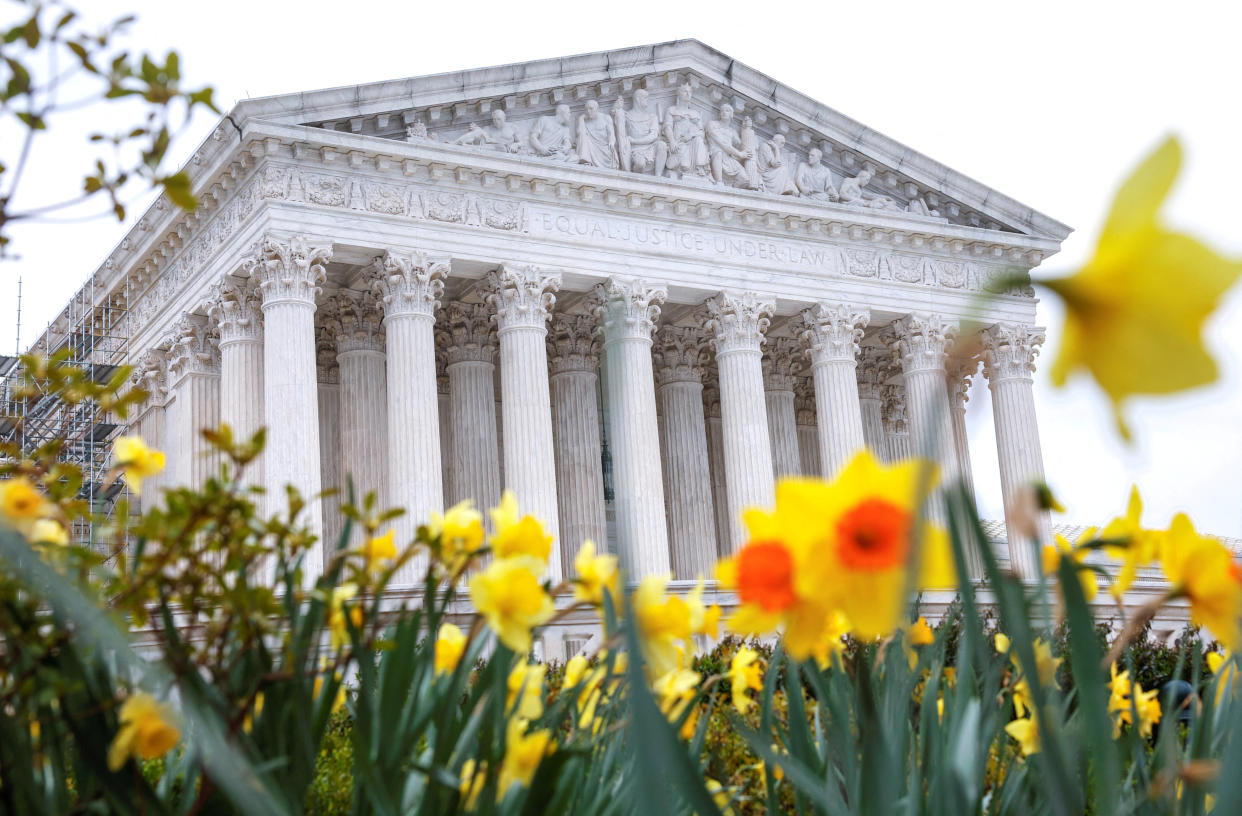 The United States Supreme Court is seen behind a mass of blooming daffodils.