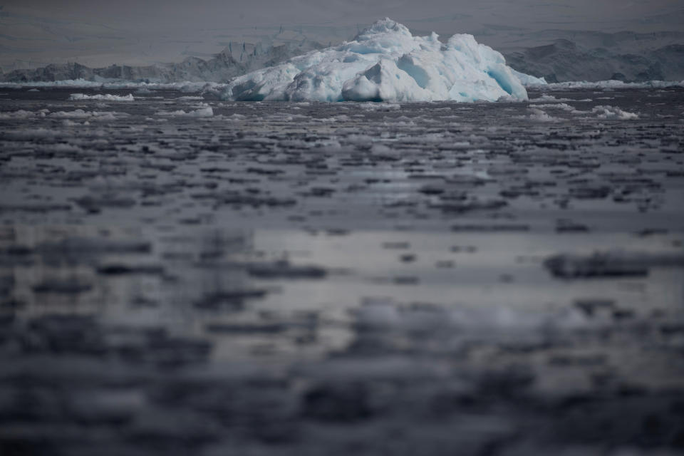 Small chunks of ice float on the water near Fournier Bay, Antarctica, February 3, 2020. REUTERS/Ueslei Marcelino     SEARCH 