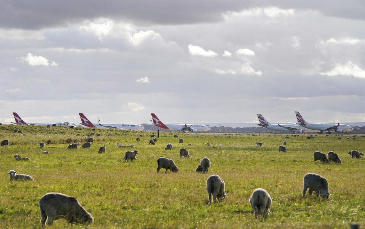 <span>Planes parked on the runway at Avalon Airport during the pandemic. Victorian treasurer Tim Pallas has referred to its proximity to an existing train line while criticising Melbourne Airport’s operators over negotiations for proposed a rail link.</span><span>Photograph: Michael Dodge/EPA</span>