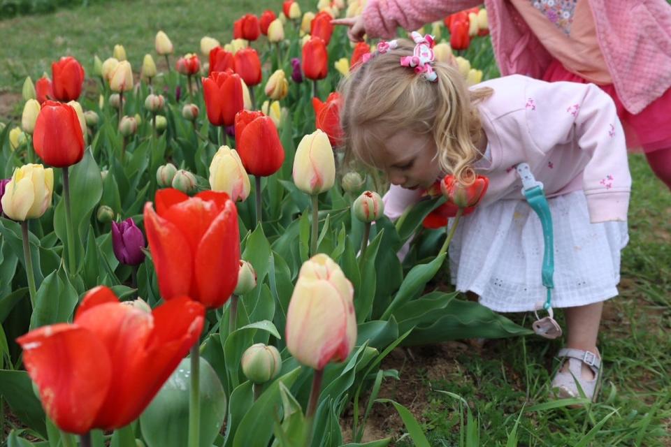 Children under 4 get in for free. Tulips are not included in kids admission prices.