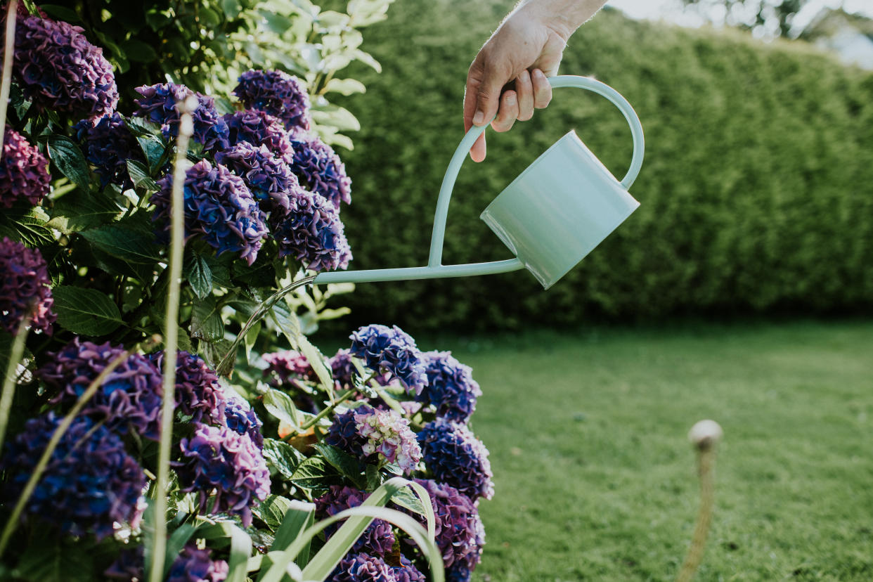 The hosepipe ban needn't affect your garden - we've found the ways to keep it watered while conserving water, too. (Getty Images)