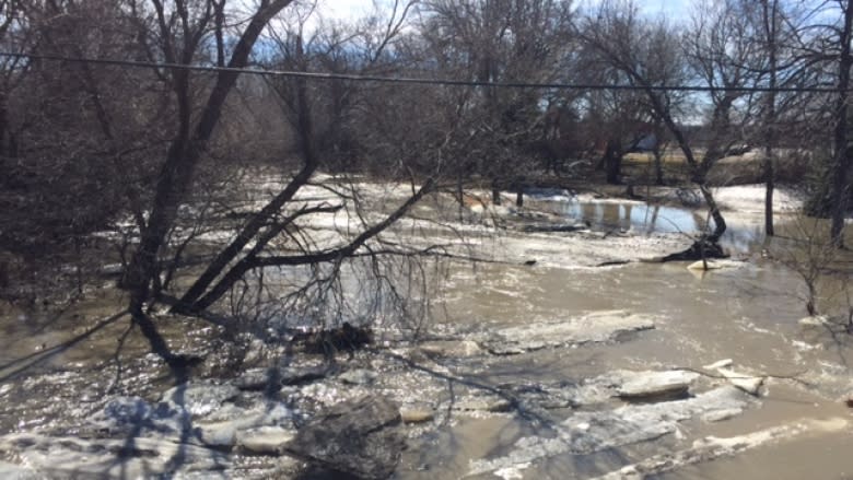 Worst flood in decades threatens 300 properties in Carman, Man.