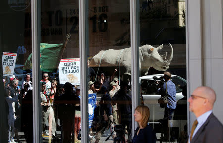 A delegate looks on as animal rights activists are reflected in a window as they demonstrate outside the Sandton convention center, a venue hosting the 17th meeting of the U.N.'s Convention on International Trade in Endangered Species (CITES) in Johannesburg, South Africa, September 24, 2016. REUTERS/Siphiwe Sibeko