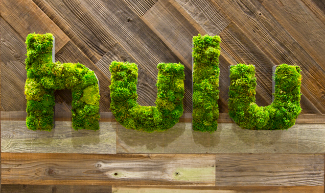 Hulu's logo made out of plants on a wooden background