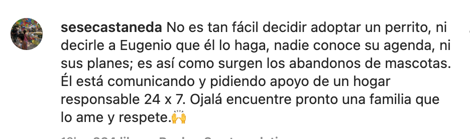 Comentario Derbez rescató perro 
Foto: Instagram, @Eugenio Derbez