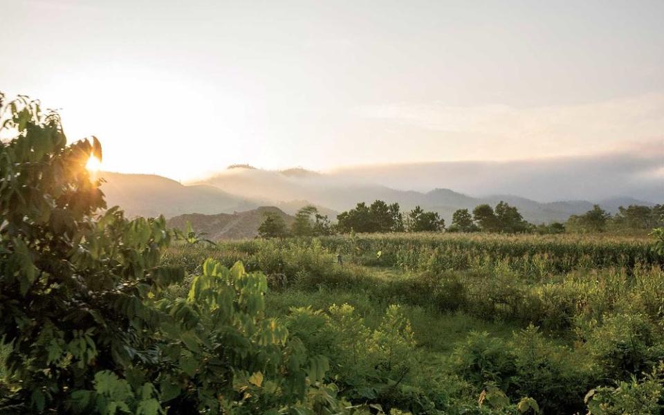 Wolkoff woke early to capture the sunrise on the ride from Hanoi to Da Nang, which she found to be the prettiest part of the trip.