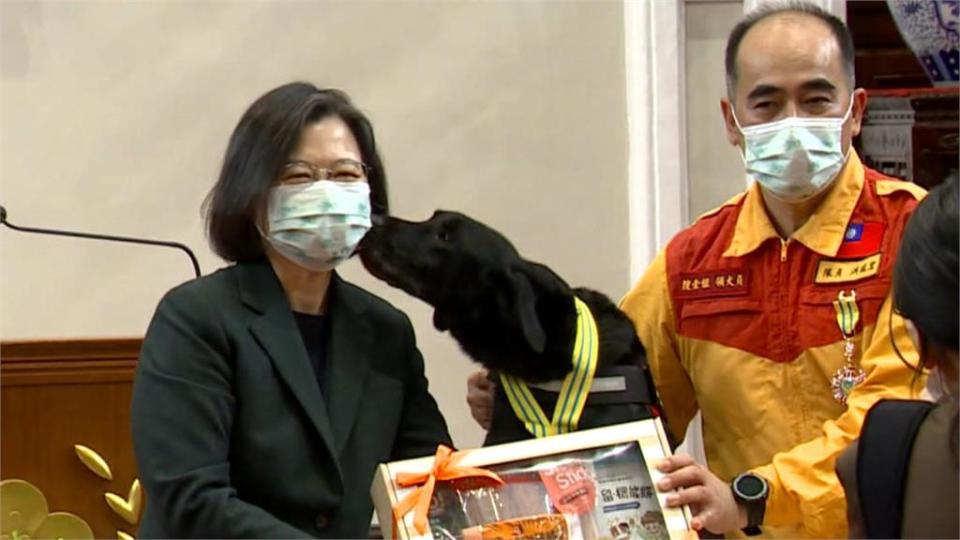 接見搜救英雄牽退役搜救犬「樂樂」到場　太熱情！搜救犬Melody偷親總統