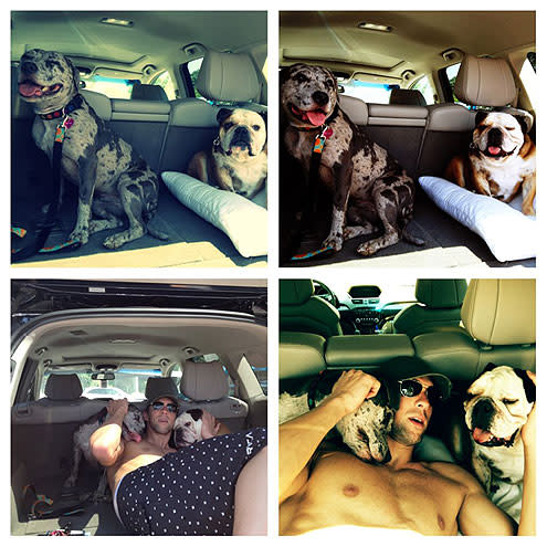 "Happy to get sometime with the pups today before I leave," tweeted Michael Phelps.