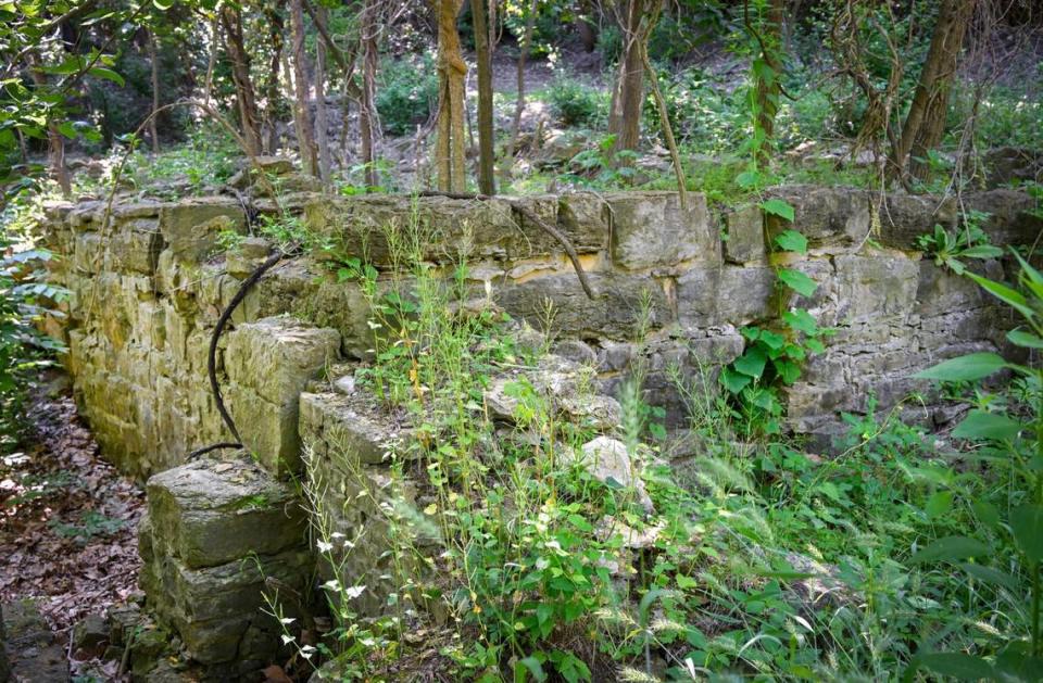 The foundation of an old hotel can be seen through the brush during a cleanup event at the Quindaro Ruins on June 3 in Kansas City, Kansas. The area was a stop on the Underground Railroad.
