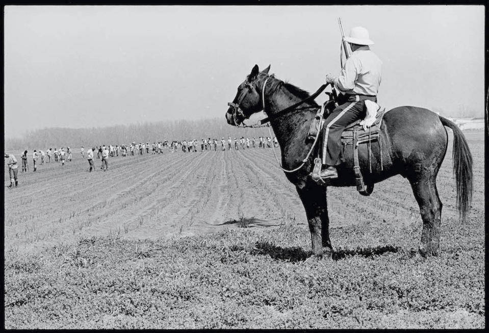 This 1981 photo shows a prison guard keeping watch over prisoners working in a field at the Louisiana State Penitentiary in Angola, La. After the Civil War, the 13th Amendment's exception clause that allows for prison labor provided legal cover to round up thousands of mostly young Black men. They then were leased out by states to plantations like Angola and some of the country's biggest privately owned companies, including coal mines and railroads. (Keith Calhoun via AP)