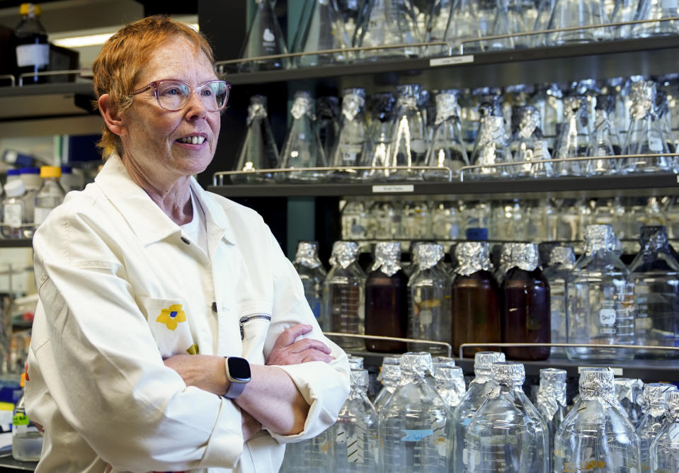 Dr. Nora Disis, director of the UW Medicine Cancer Vaccine Institute, poses for a portrait Thursday, May 25, 2023, at the institute's campus in Seattle. For the experimental cancer vaccine to work, it needs to teach the immune system's T cells to recognize cancer as dangerous, says Disis. Once trained, T cells can travel anywhere in the body to hunt down danger. (AP Photo/Lindsey Wasson)