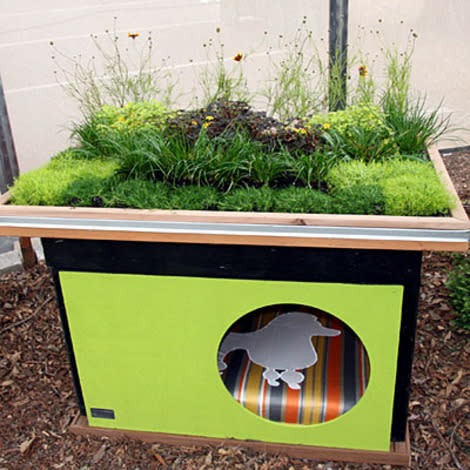 A living roof for Fido