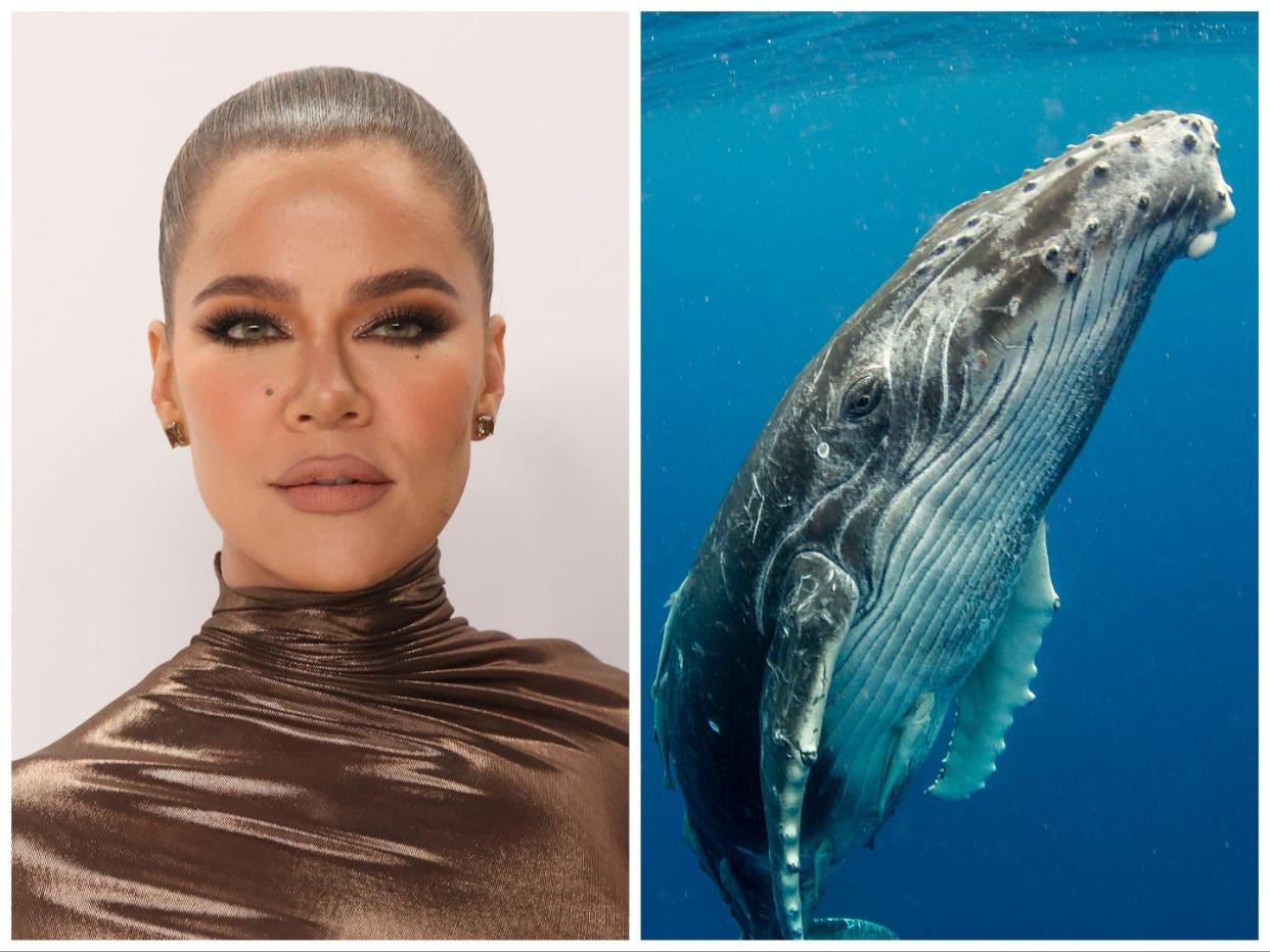 Khloe Kardashian next to a whale